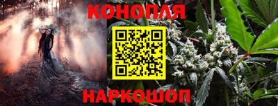 apvp Кунгур
