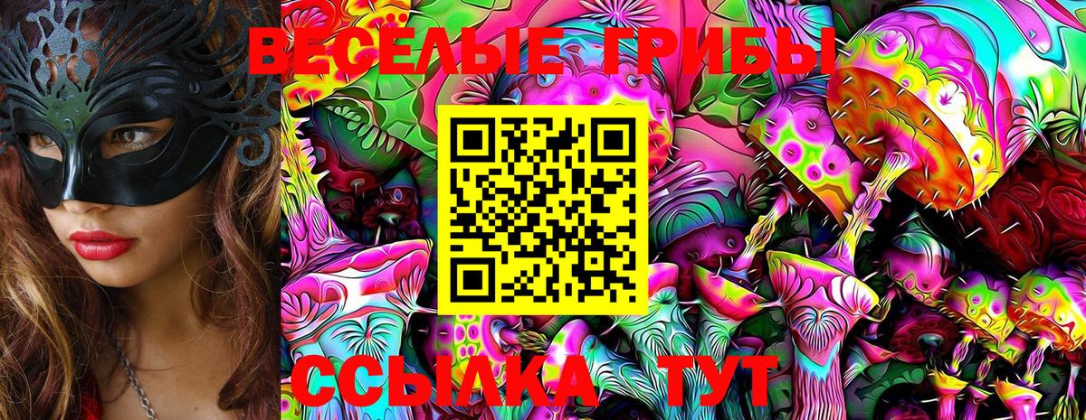Псилоцибиновые грибы мицелий Ижевск